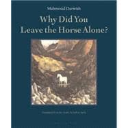 Why Did You Leave the Horse Alone?