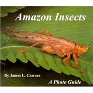 Amazon Insects : A Photo Guide