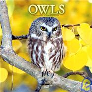 Owls 2007 Calendar