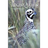 Texas Quails