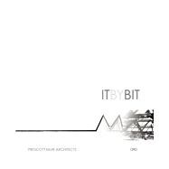 It by Bit : Evoking Simplicity from Complexity