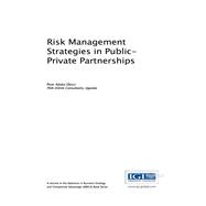 Risk Management Strategies in Public-Private Partnerships