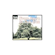 From Acorn to Oak Tree