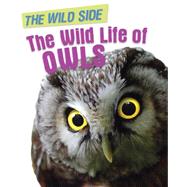 The Wild Life of Owls