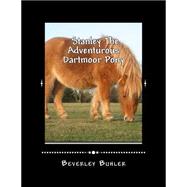 Stanley the Adventurous Dartmoor Pony