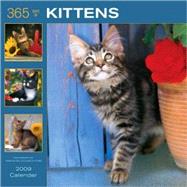 Kittens 365-days 2009 Calendar