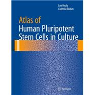 Atlas of Human Pluripotent Stem Cells in Culture