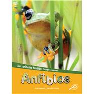 Anfibios