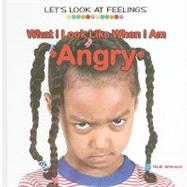 What I Look Like When I Am Angry
