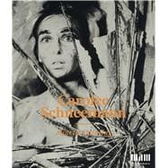 Carolee Schneemann Kinetic Painting