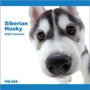 Siberian Husky 2009 Calendar