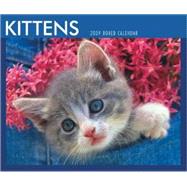Kittens 2009 Calendar