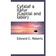 Cyfalaf a Llafur/ Capital and Labor
