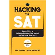 Hacking the Sat