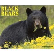 Black Bears 2013 Calendar