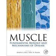 Muscle: Fundamental Biology and Mechanisms of Disease