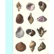 Seashells Mini Journal