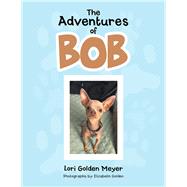 The Adventures of Bob