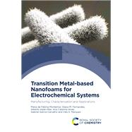 Transition Metal-based Nanofoams for Electrochemical Systems
