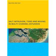 Salt Intrusion, Tides and Mixing in Multi-Channel Estuaries: PhD: UNESCO-IHE Institute, Delft
