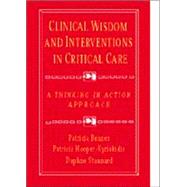 Clinical Wisdom and Interventions in Critical Care : A Thinking-in-Action Approach