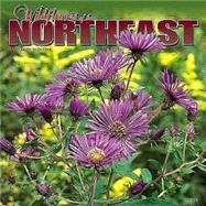 Wildflowers of the Northeast 2004 Calendar