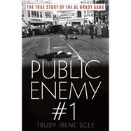 Public Enemy Number One The True Story of the Brady Gang