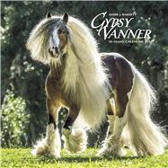 Gypsy Vanner Horse 2018 Calendar