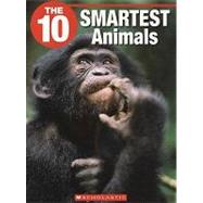 The 10 Smartest Animals
