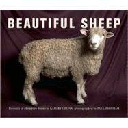Beautiful Sheep Portraits of Champion Breeds