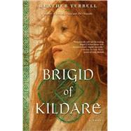 Brigid of Kildare A Novel
