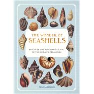 The Wonder of Seashells Discover the Meaning & Magic of the Ocean’s Treasures