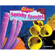 Squishy Sponges
