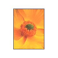 Flowers A to Z Keepsake Boxed Notecards