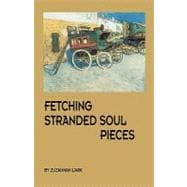 Fetching Stranded Soul Pieces
