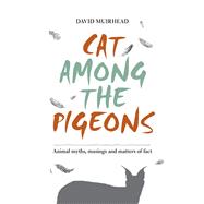 Cat among the pigeons