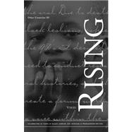 Voices Rising : Celebrating 20 Years of Black Lesbian, Gay, Bisexual and Transgender Writing