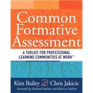 Common Formative Assessment