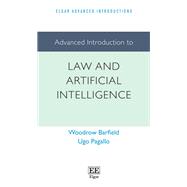 Advanced Introduction to Law and Artificial Intelligence