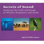 Secrets of Sound