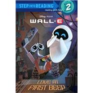 Love at First Beep (Disney/Pixar WALL-E)