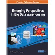 Emerging Perspectives in Big Data Warehousing