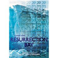 Resurrection Bay
