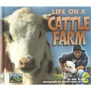 Life on a Cattle Farm