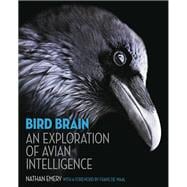 Bird Brain