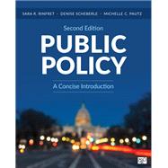 Public Policy: A Concise Introduction