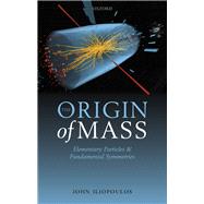 The Origin of Mass Elementary Particles and Fundamental Symmetries