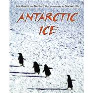 Antarctic Ice