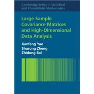 Large Sample Covariance Matrices and High-dimensional Data Analysis