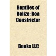 Reptiles of Belize : Boa Constrictor